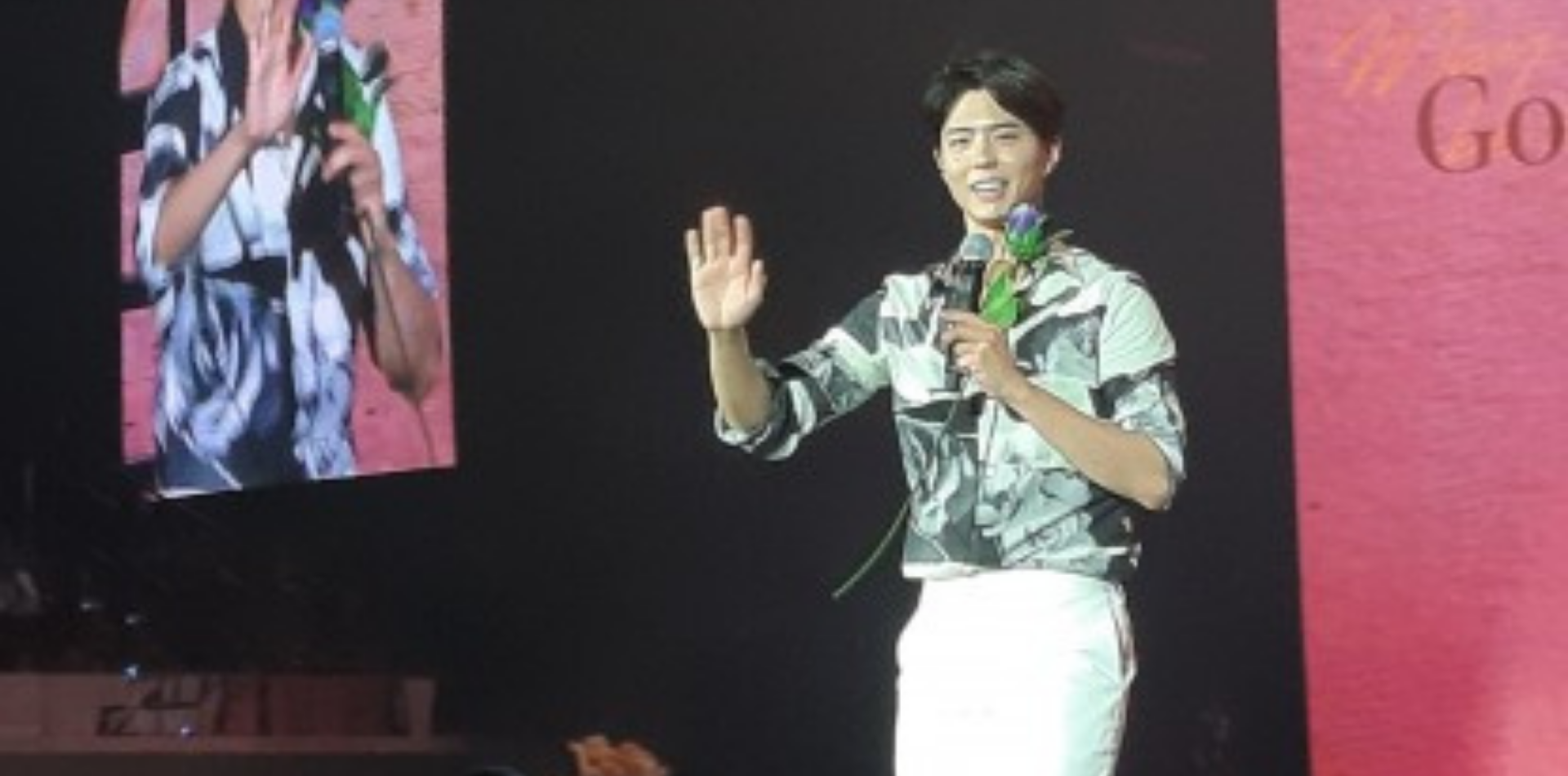 PARK BO GUM FAN MEETING